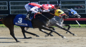 Repartir&aacute;n un mill&oacute;n de pesos entre ganadores del pool este s&aacute;bado 12 de Septiembre