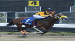 GERM&Aacute;N LE&Oacute;N ES ENTRENADOR DE REAL PRIDE Y ESTABLO REAL