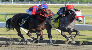 Premiar&aacute;n los m&aacute;s destacados de la h&iacute;pica en RD 2023