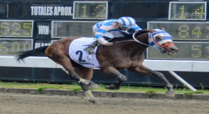 GLORIOSO B. GANA CL&Aacute;SICO INDEPENDENCIA Y SE ESTABLECE R&Eacute;CORD APUESTAS