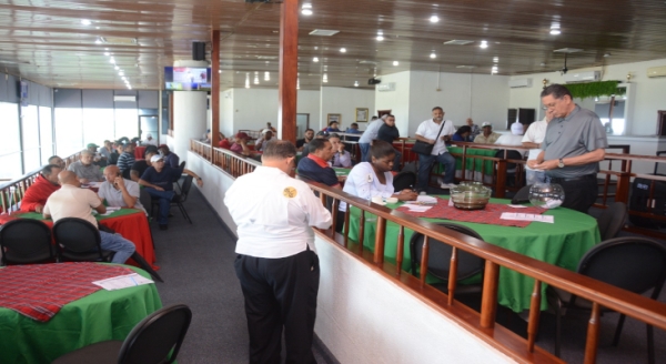 Due&ntilde;os compran ocho caballos importados a Comisi&oacute;n H&iacute;pica