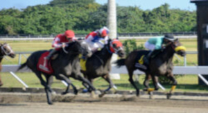 Comisi&oacute;n H&iacute;pica repartir&aacute; el s&aacute;bado un mill&oacute;n y medio de pesos entre fan&aacute;ticos