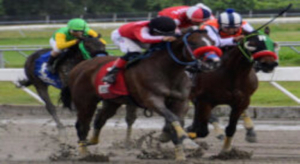 Comisi&oacute;n H&iacute;pica compra 10 caballos importados para venderlos aqu&iacute;