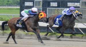 Comisi&oacute;n H&iacute;pica pondr&aacute; a la venta 10 caballos el s&aacute;bado 03 de agosto 2024