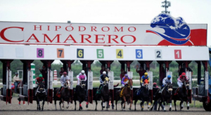 La Comisi&oacute;n H&iacute;pica Nacional decidi&oacute; devolver todo el dinero apostado este domingo al pool 6 de Camarero